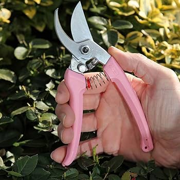 パッションフルーツ様限定 ウエサコ noisy noisy 高級品 楽天市場】小笠原パッションフルーツMIX 缶 : 東京愛らんどショップ